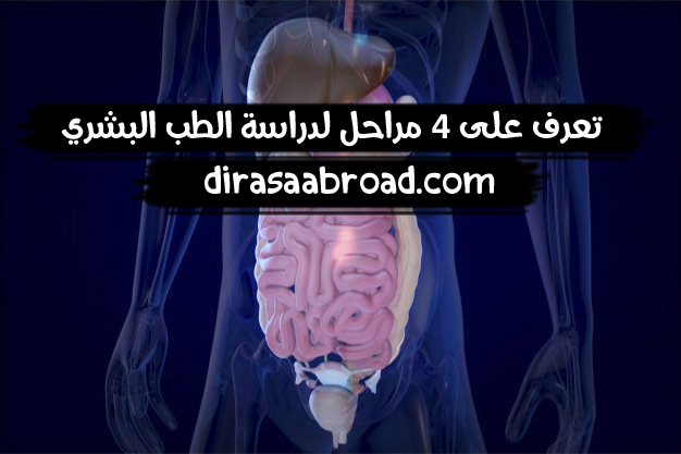 مراحل دراسة الطب